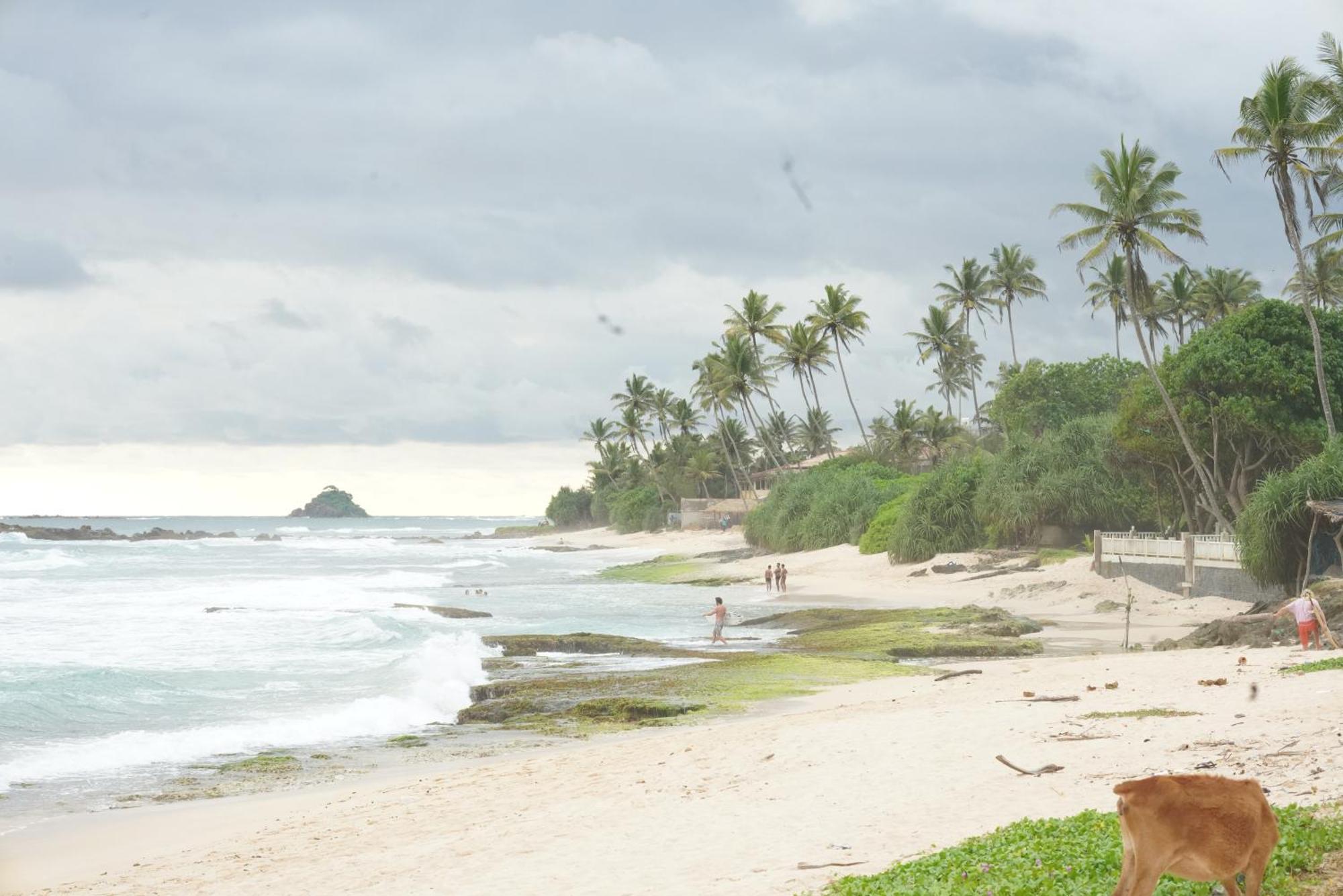 Surf Orchid Villa Weligama Exterior photo